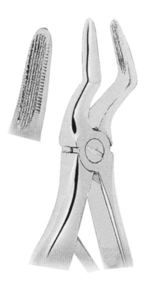 Extracting-Forceps-For-Children-Klein-Pattern-Fig-4