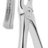 Extracting-Forceps-For-Children-Klein-Pattern-fig-2