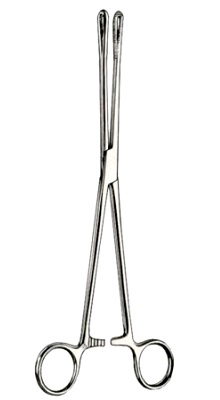 Cotton Swab Forceps Surgery Instruments.Cotton Swab Forceps. Surgical Instruments. It used by surgeons. High quality and reasonable price. Available in stock. Cotton Swab Forceps surgical Instruments. #Cottonswabforceps #diagnostic #instruments #cottonswab #Surgicalinstruments #forceps #surgery